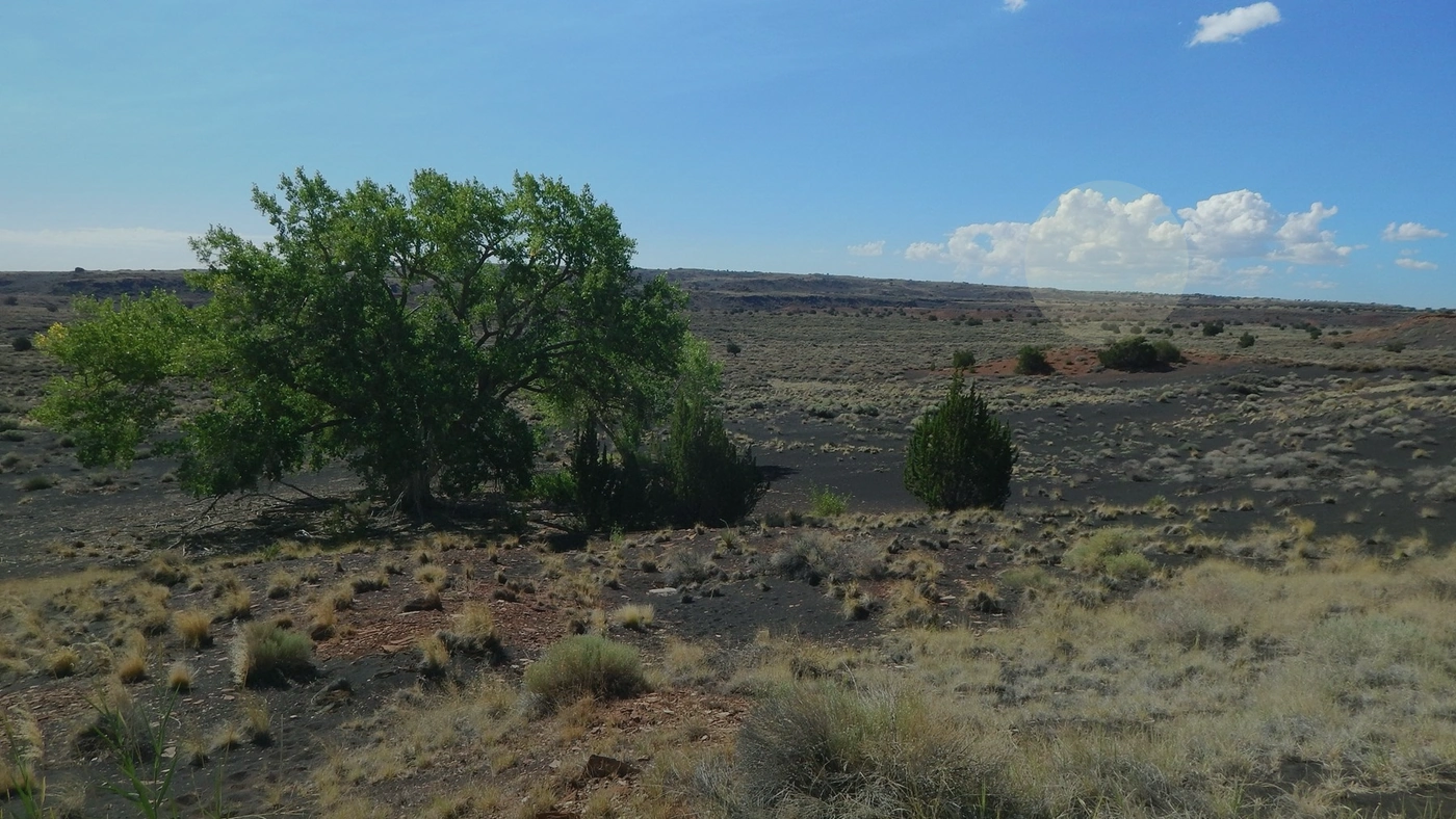 How to Sell Land Online in Arizona Arizona land guide