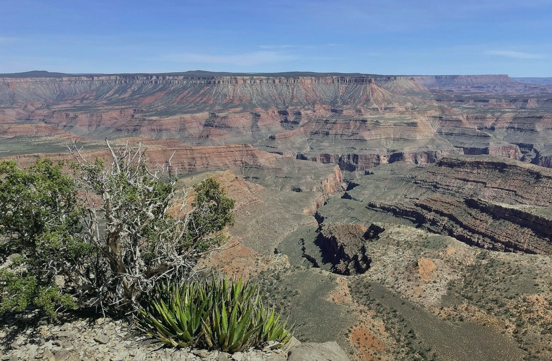 Arizona title and closing preparation for Arizona Land Buyers: How to Compare Direct Cash Offers