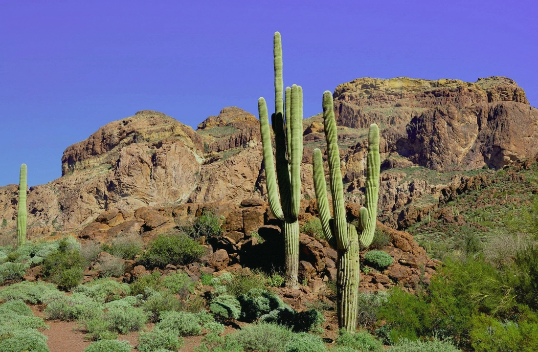 Arizona land records and parcel facts for How to Sell Land Fast in Arizona