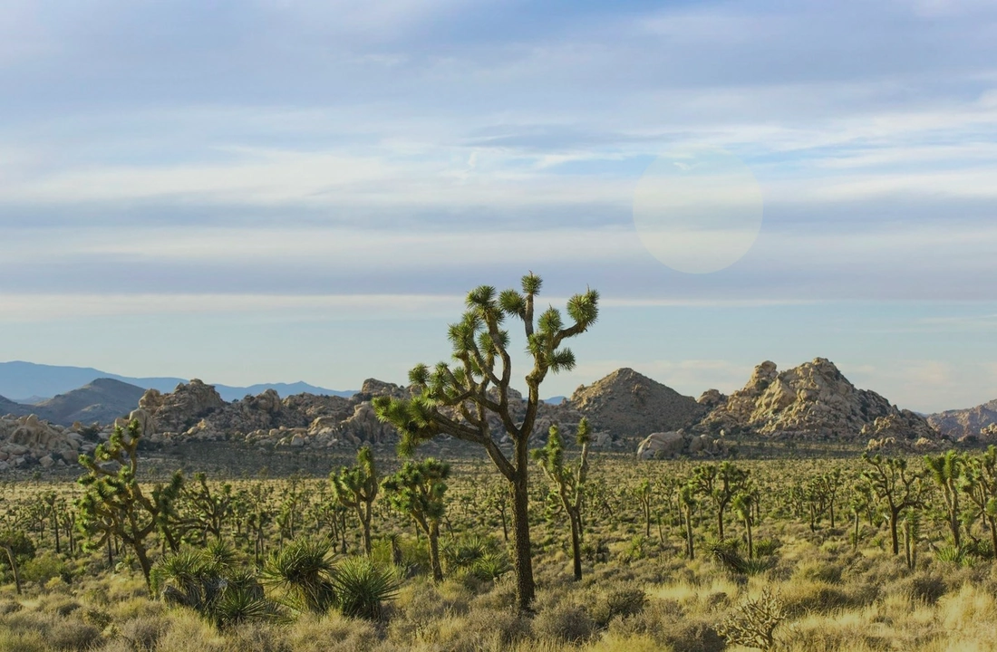Arizona title and closing preparation for How to Sell Land Fast in Arizona