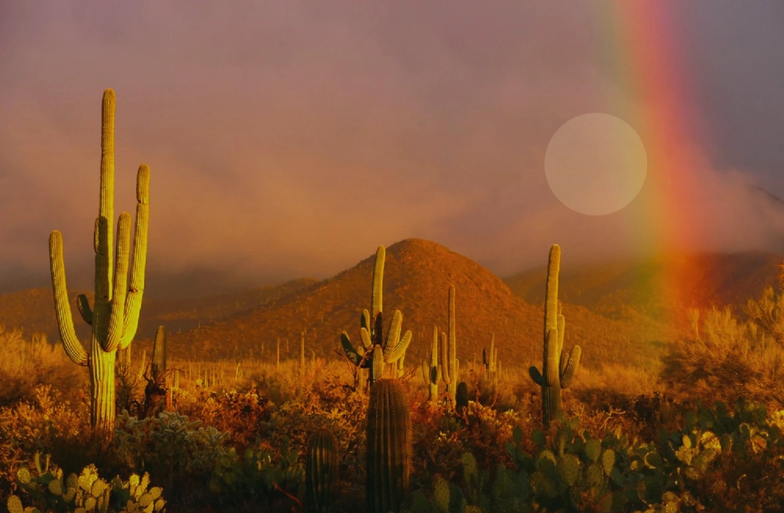 Arizona land records and parcel facts for How to Sell Land Online in Arizona