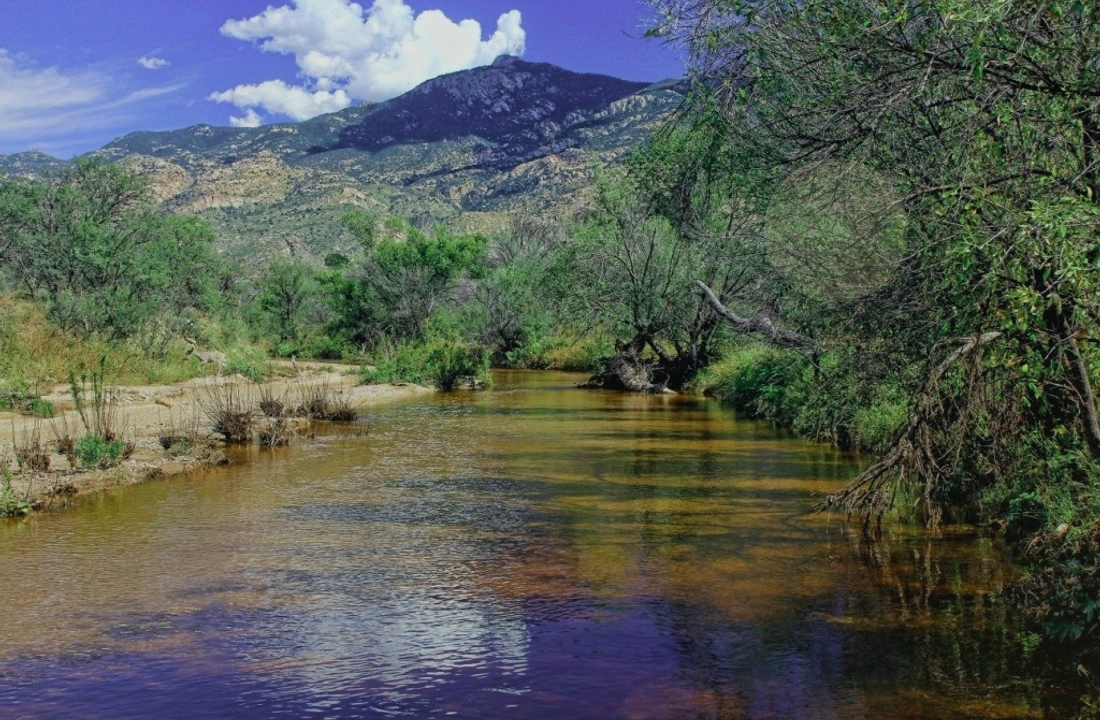 Arizona land sale options and buyer review for How to Sell Land Online in Arizona
