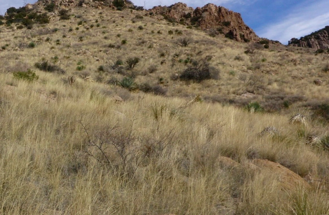 Arizona title and closing preparation for How to Sell Land Without Clear Title in Arizona
