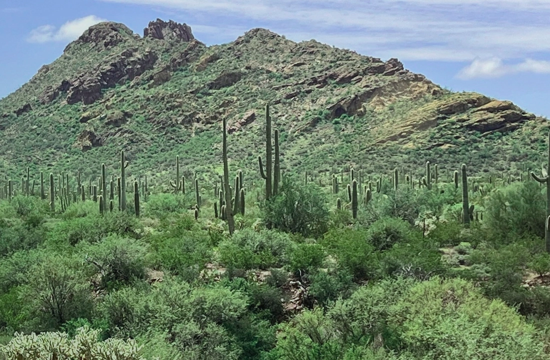 Arizona land sale options and buyer review for Legal Documents for Selling Land in Arizona