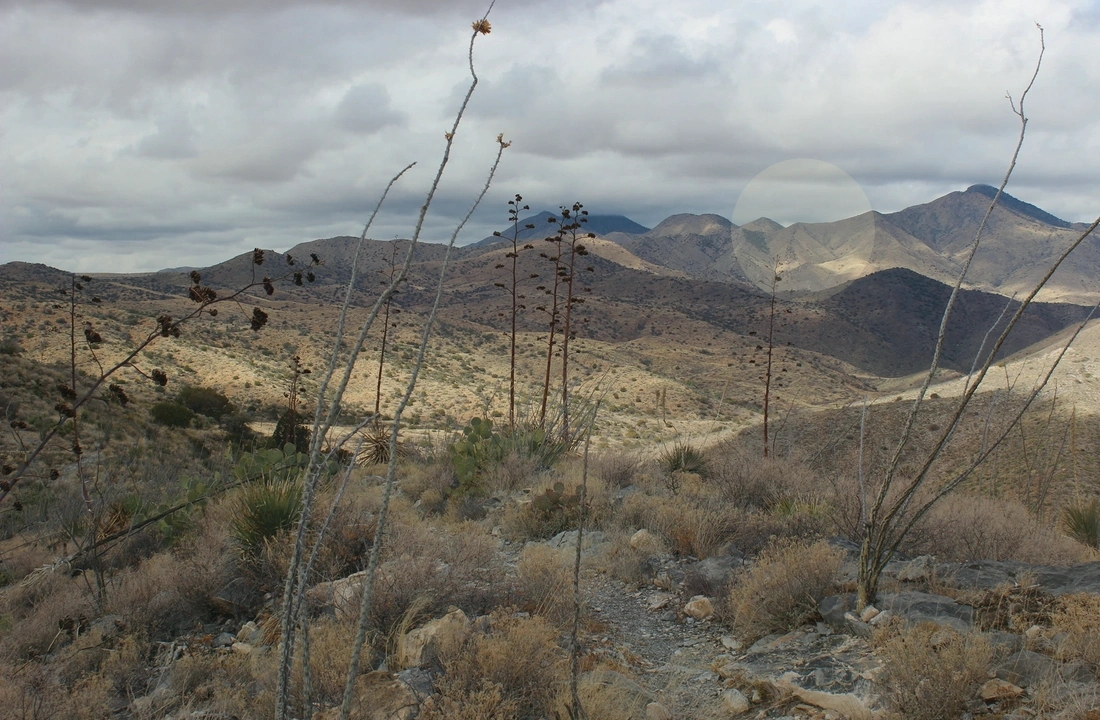 Arizona title and closing preparation for Legal Documents for Selling Land in Arizona