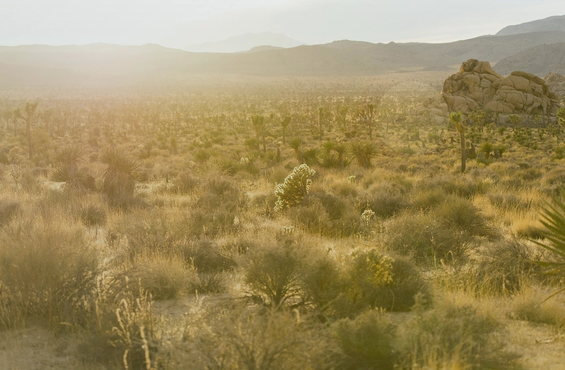 Arizona land sale options and buyer review for Tax on Selling Land in Arizona