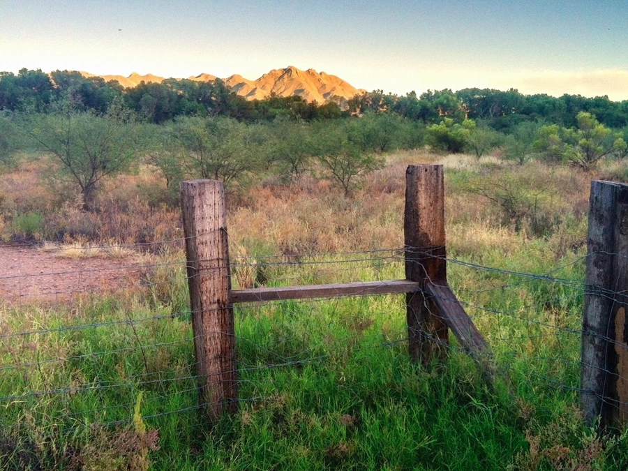 Rural Access Parcels in Gilbert