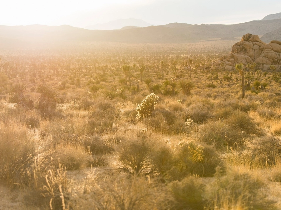 Vacant Lots in Gilbert